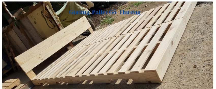 Giương Pallet 850 x 350