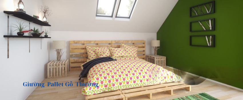 Giương Pallet 850 x 350