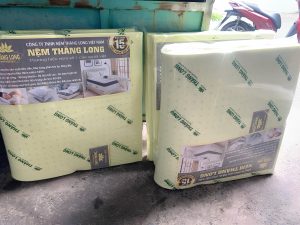 Hình nệm cao su non