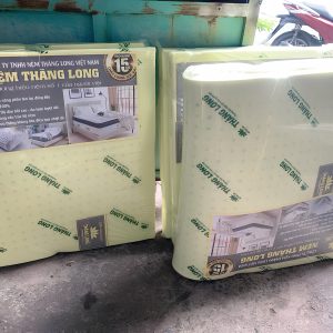 Hình nệm cao su non