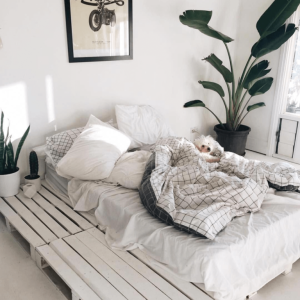 giuong-pallet-go-mau trang