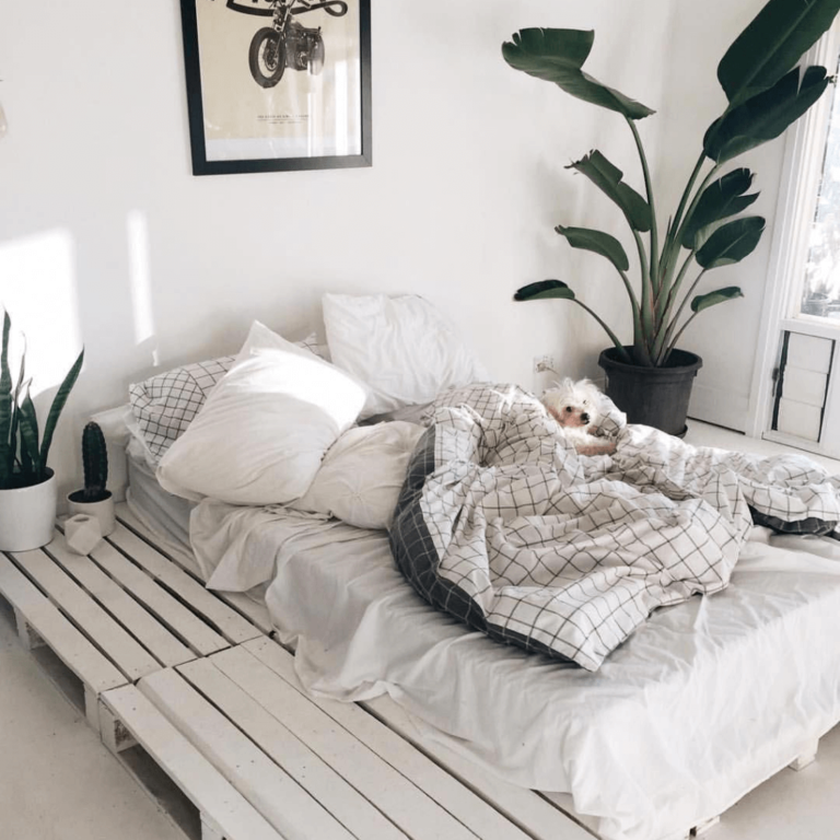 giuong-pallet-go-mau trang